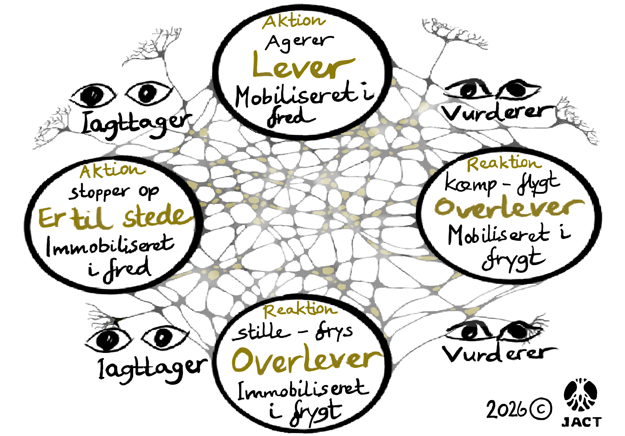 En model der viser hvordan vi reagerer på input