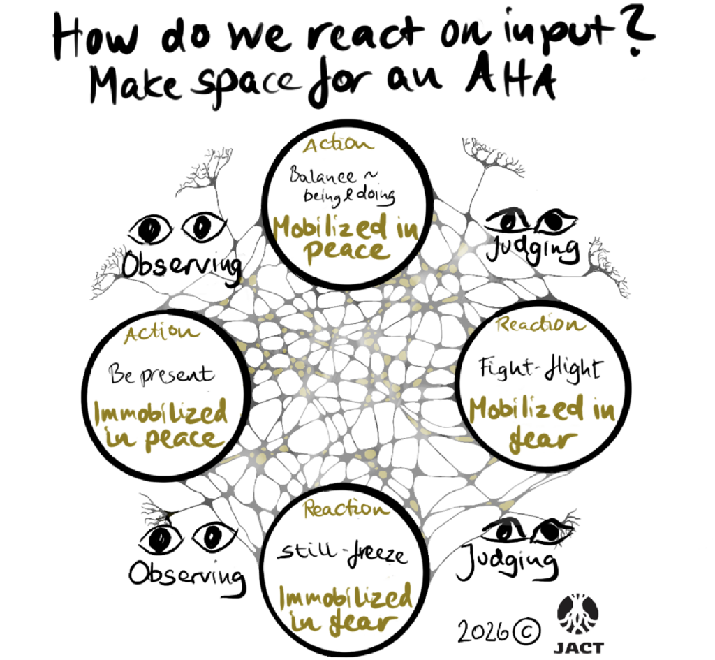 Understand the balance between surviving and living