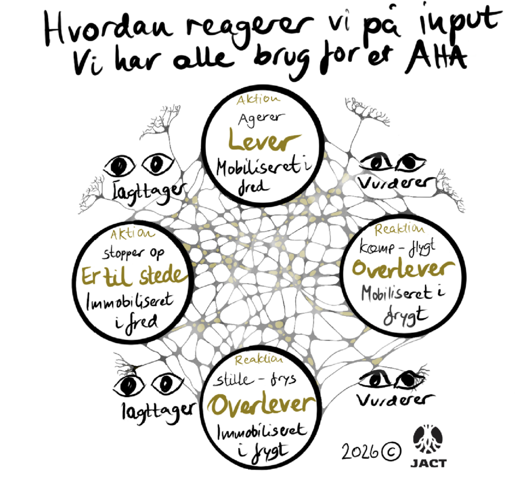 En model der viser hvordan vi reagerer på input