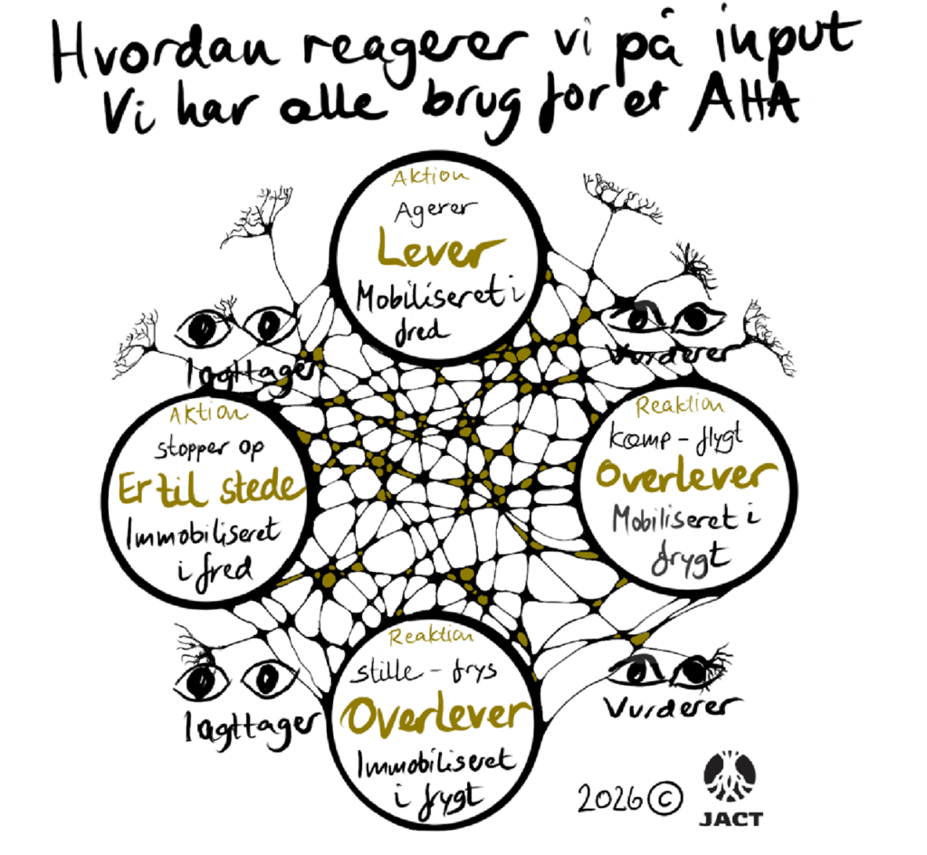 En model der viser hvordan vi reagerer på input