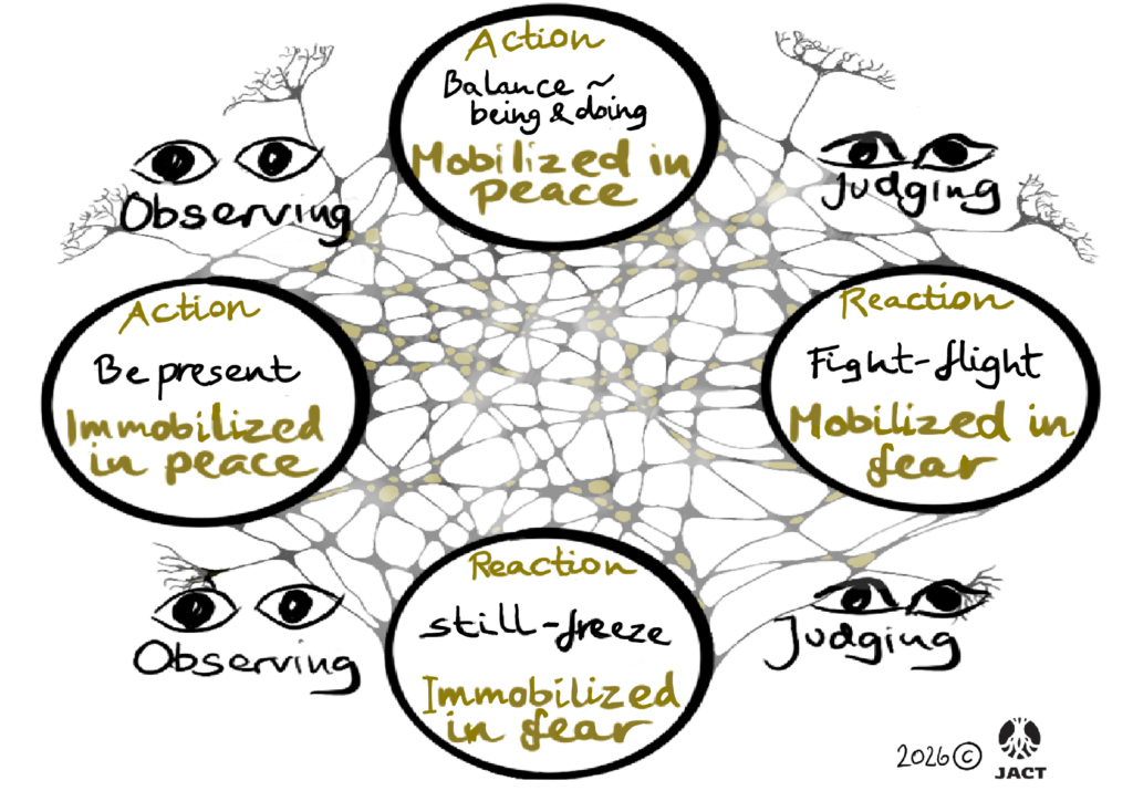 Understand the balance between surviving and living